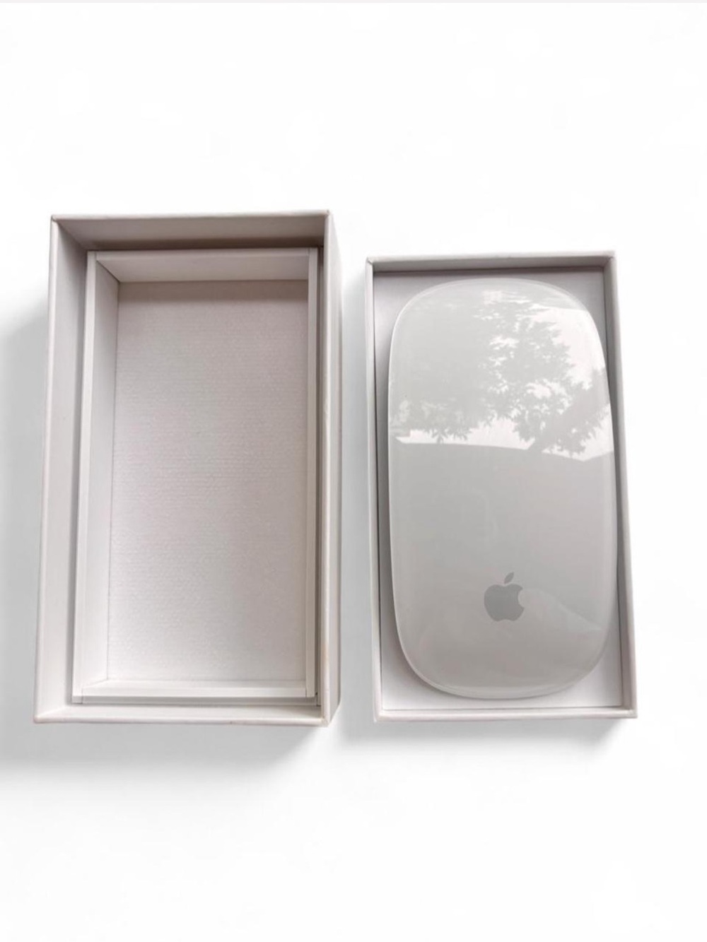 Apple Magic Mouse 2
